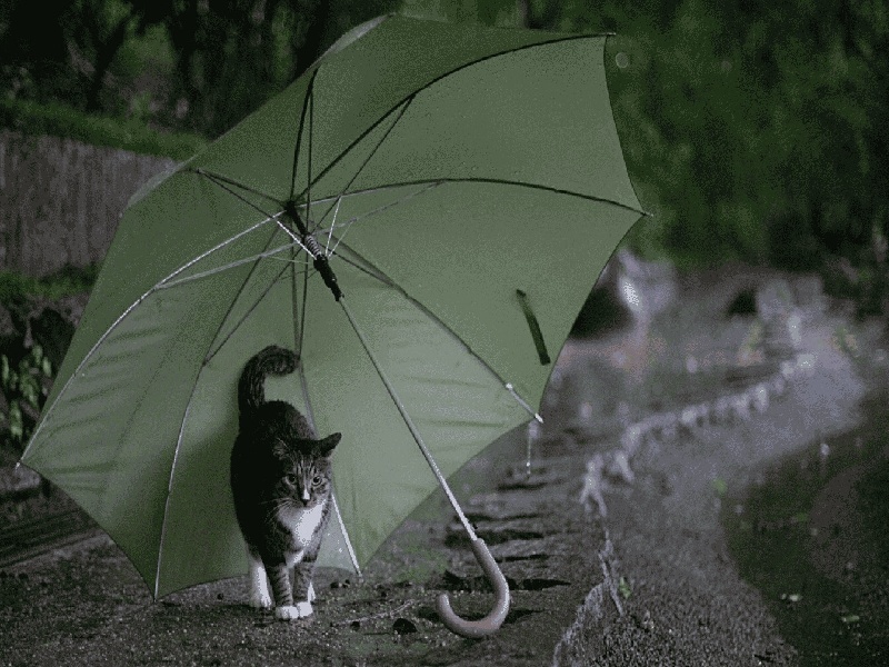 试管婴儿德国女（乌克兰试管包成功）